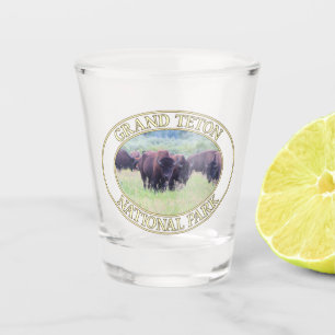 Verre A Shot Bison / Buffle au parc national Grand Teton dans W