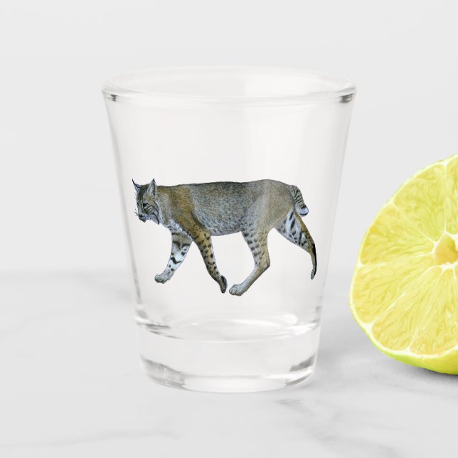 Verre A Shot Bobcat (Devant)