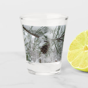 Verre A Shot Branche des pins neigeux Photographie de la nature