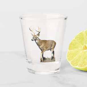 Verre A Shot Buck White Tailed