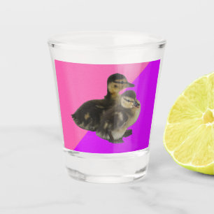 Verre A Shot Canetons sur framboise rose et sorbet violet