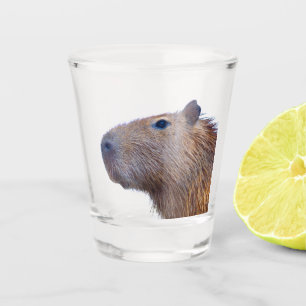 Verre A Shot Capybara