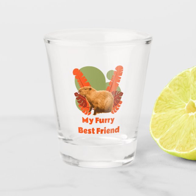 Verre A Shot Capybara Mon Meilleur Ami Poilu (Devant)