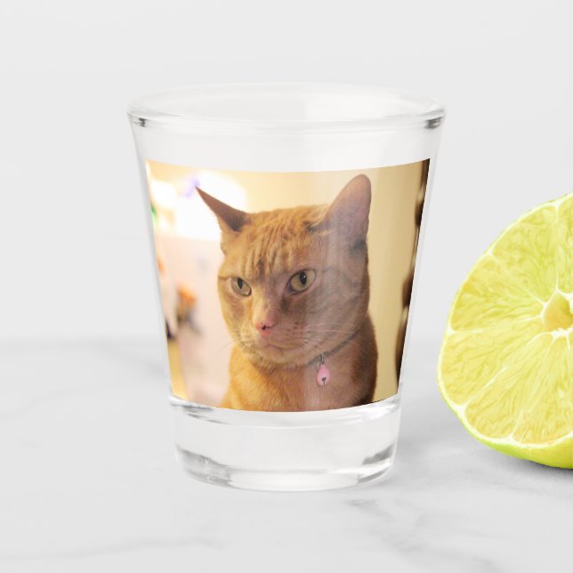 Verre A Shot Cat (Devant)