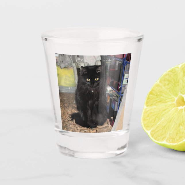 Verre A Shot Cat (Devant)