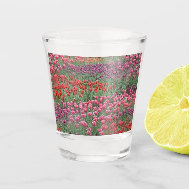 Verre A Shot Champ De Tulipes (Devant)
