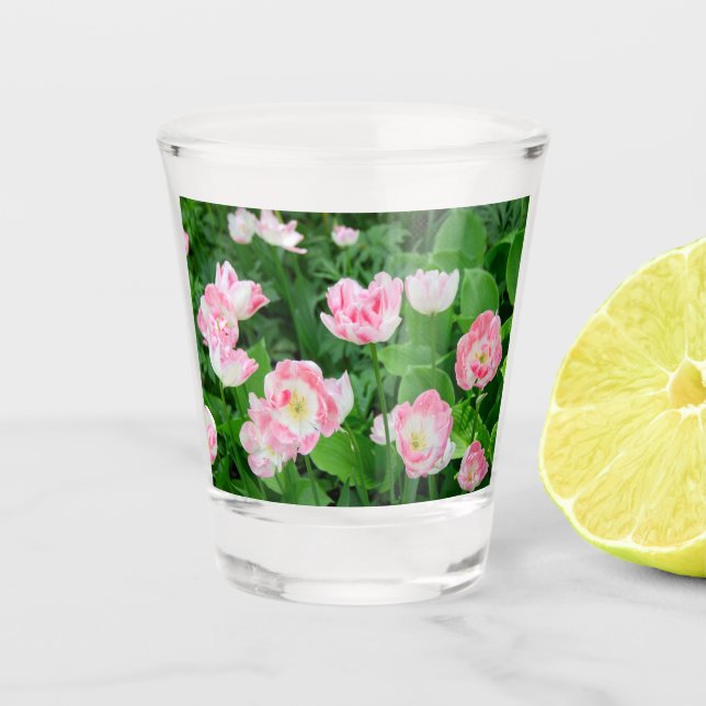 Verre A Shot Champ de tulipes roses (Devant)