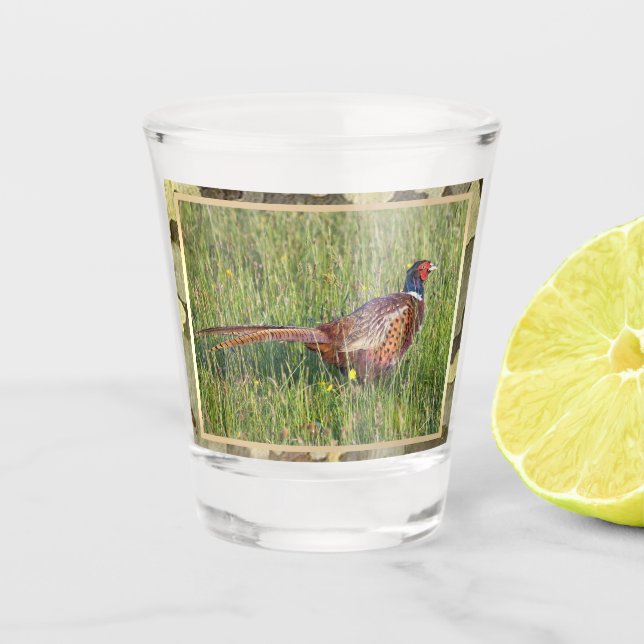 Verre A Shot Chasse Au Pheasant Avec Camo Trim (Devant)