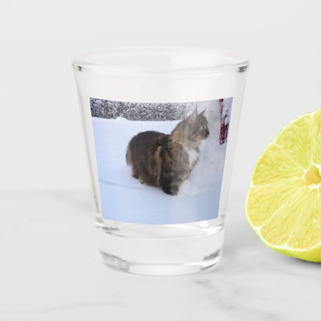 Verre A Shot chat des forêts norvégiennes dans la neige (Devant)