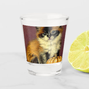 Verre A Shot Chat d'Halloween Ragdoll Vintage