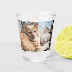Verre A Shot Chats