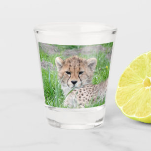 Verre A Shot Cheetah 002