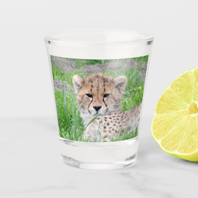 Verre A Shot Cheetah 002 (Devant)