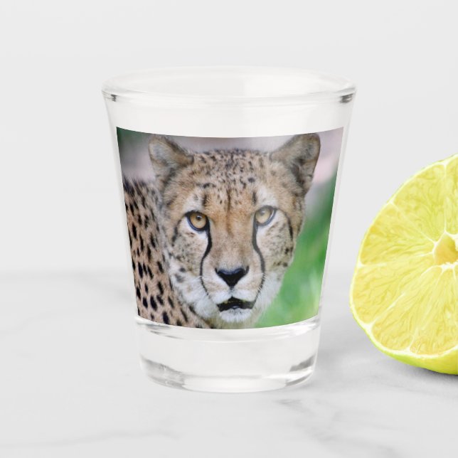 Verre A Shot Cheetah 009 (Devant)