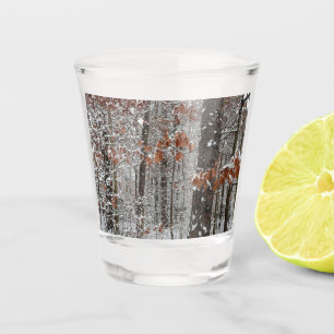 Verre A Shot Chênes couverts de neige hiver Photographie de la 