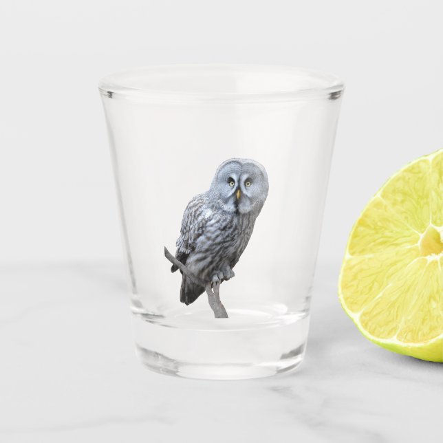 Verre A Shot Chouette grise (Devant)