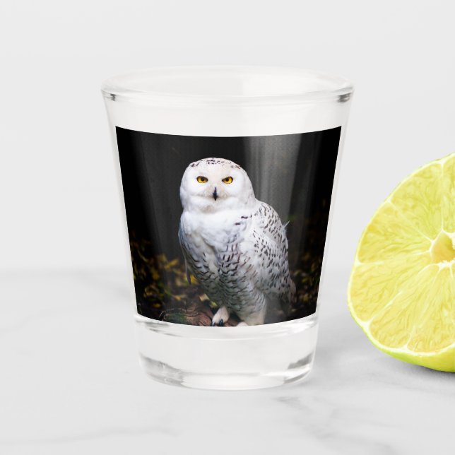 Verre A Shot Chouette hivernale majestueuse (Devant)
