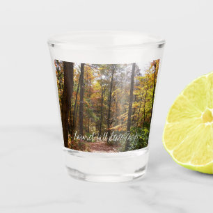 Verre A Shot Chute Sunlit dans le parc national de Laurel Hill