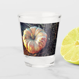 Verre A Shot Citrouille Rustique