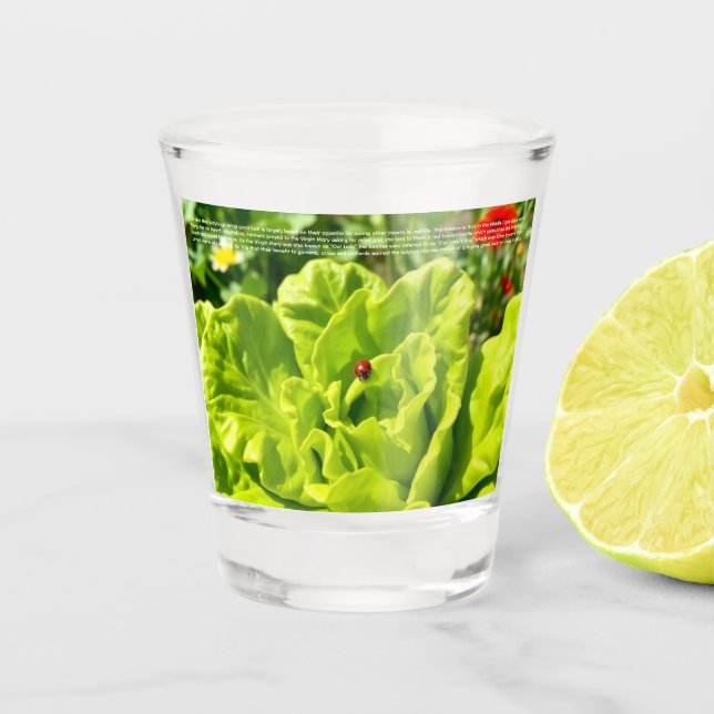 Verre A Shot Coccinelle chanceuse  (Devant)