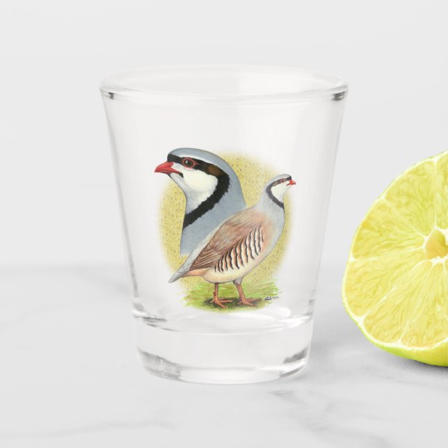 Verre A Shot Combo de perdrix de Chukar (Devant)