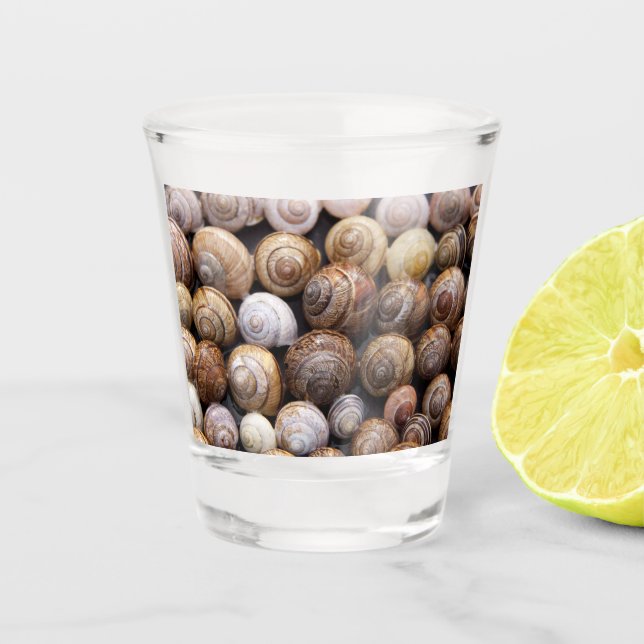 Verre A Shot Coques des escargots (Devant)