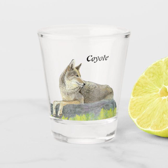 Verre A Shot Coyote (Devant)