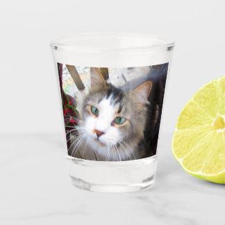 Verre A Shot Créez facilement votre propre ajout de photo perso