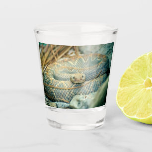 Verre A Shot Crotte