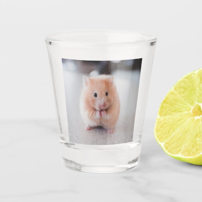 Verre A Shot Cute Hamster Love Animals (Devant)