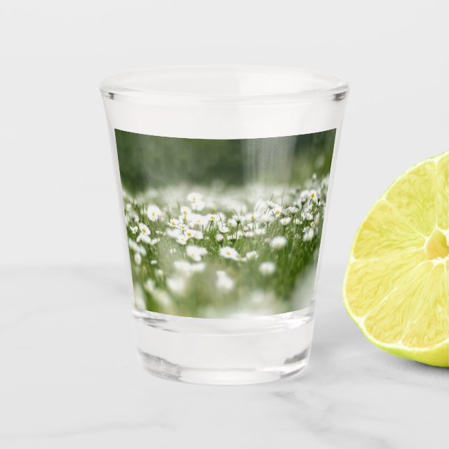 Verre A Shot Daisy Meadow (Devant)