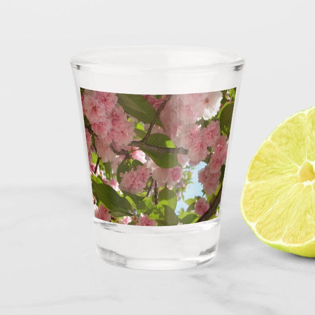 Verre A Shot Double floraison cerisier III printemps fleuri (Devant)