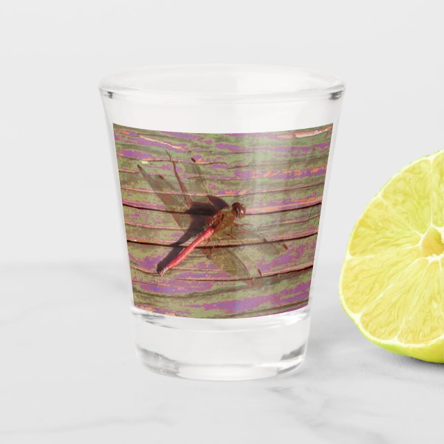 Verre A Shot Dragonfly (Devant)