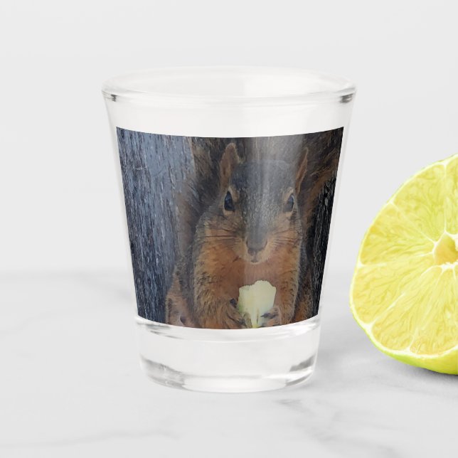 Verre A Shot Écureuil (Devant)