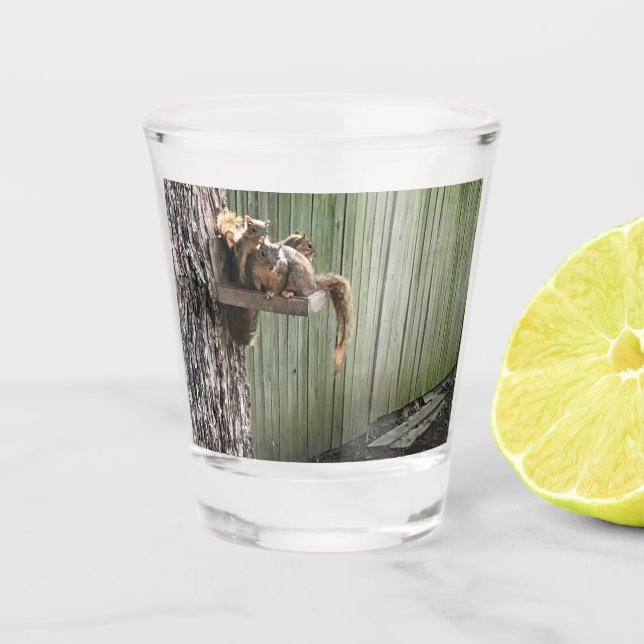 Verre A Shot Écureuil (Devant)
