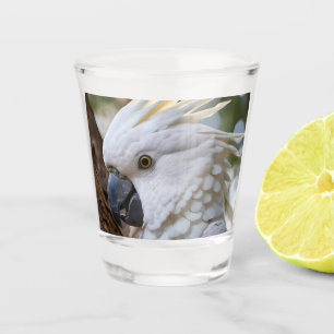 Verre A Shot Élégance en blanc : le majestueux cacatoès austral