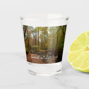 Verre A Shot Fall Creek à Laurel Hill State Park Pennsylvania