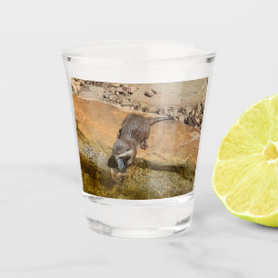 Verre A Shot **"Fête de Pondside : Un Otter et son Catch"**