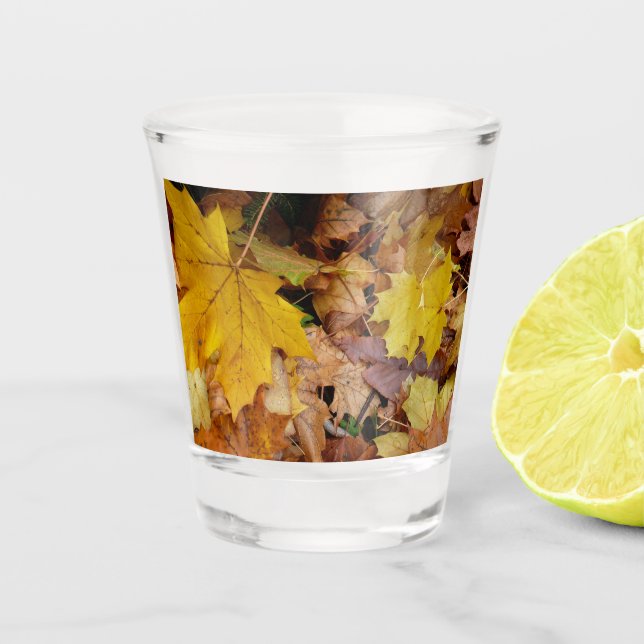 Verre A Shot Feuilles de Érable Tombées Jaune Automne Nature (Devant)
