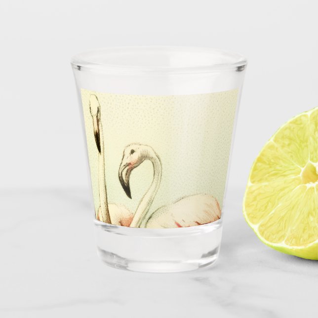 Verre A Shot Flamant Rose Vintage (Devant)