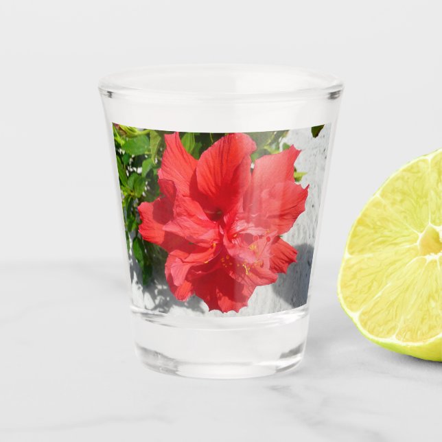 Verre A Shot Fleur double hibiscus rouge (Devant)