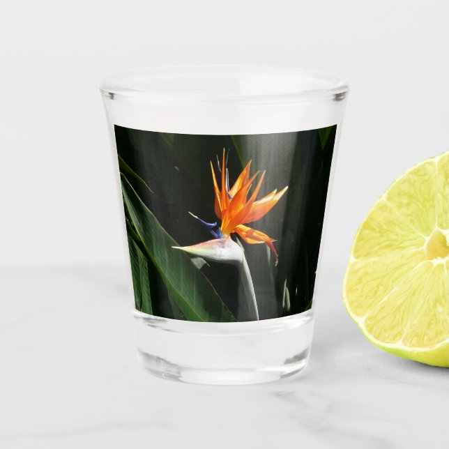 Verre A Shot Flower tropical orange paradise (Devant)