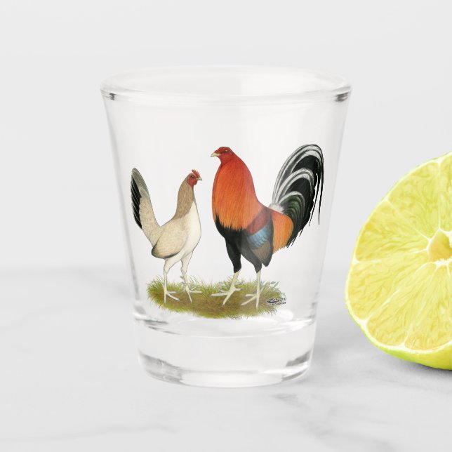 Verre A Shot Gamefowl wheatens (Devant)