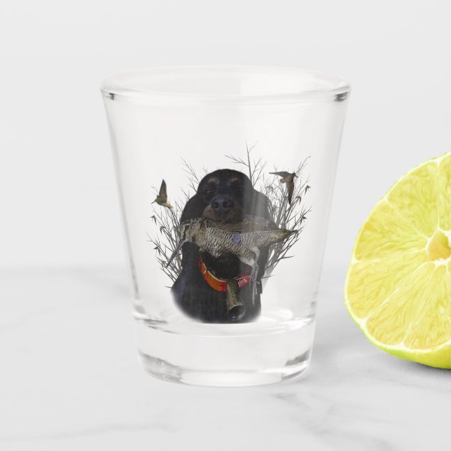 Verre A Shot Gordon Setter (Devant)