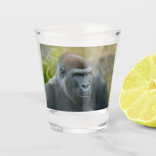 Verre A Shot Gorille du Blackback Regal