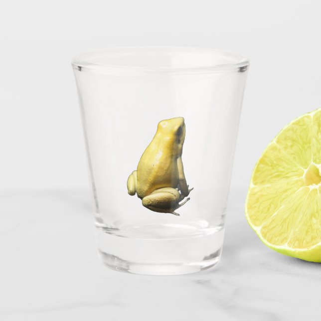 Verre A Shot Grenouille à poison dorée (Devant)