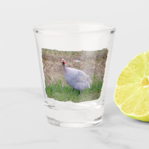 Verre A Shot Guinée Fowl