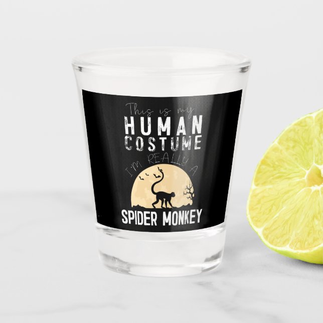 Verre A Shot Halloween Spider Monkey Horreur Déplaisante (Devant)