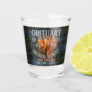 VERRE A SHOT JD VANCE EST MORT AVEC UN BALL GAG ET UN DANSEUR H