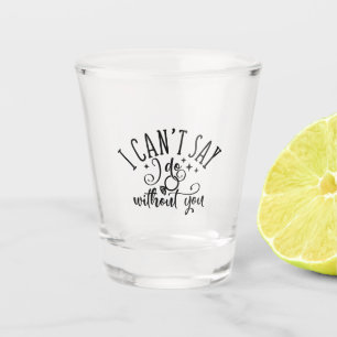 Verre A Shot Je ne peux pas dire que je le fais sans toi, Fian